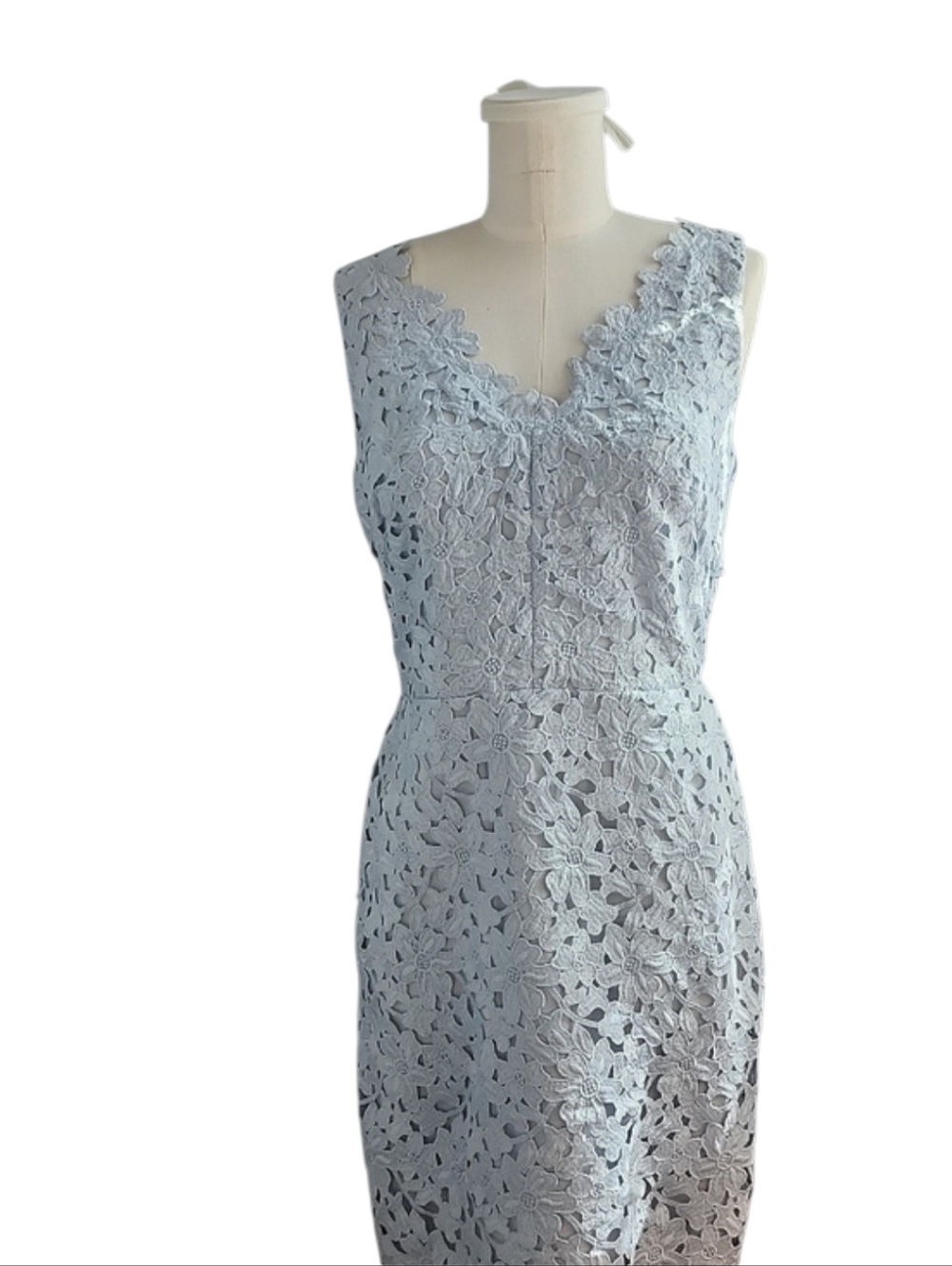 LOFT Light Blue Floral Lace Knee Length Dress 2